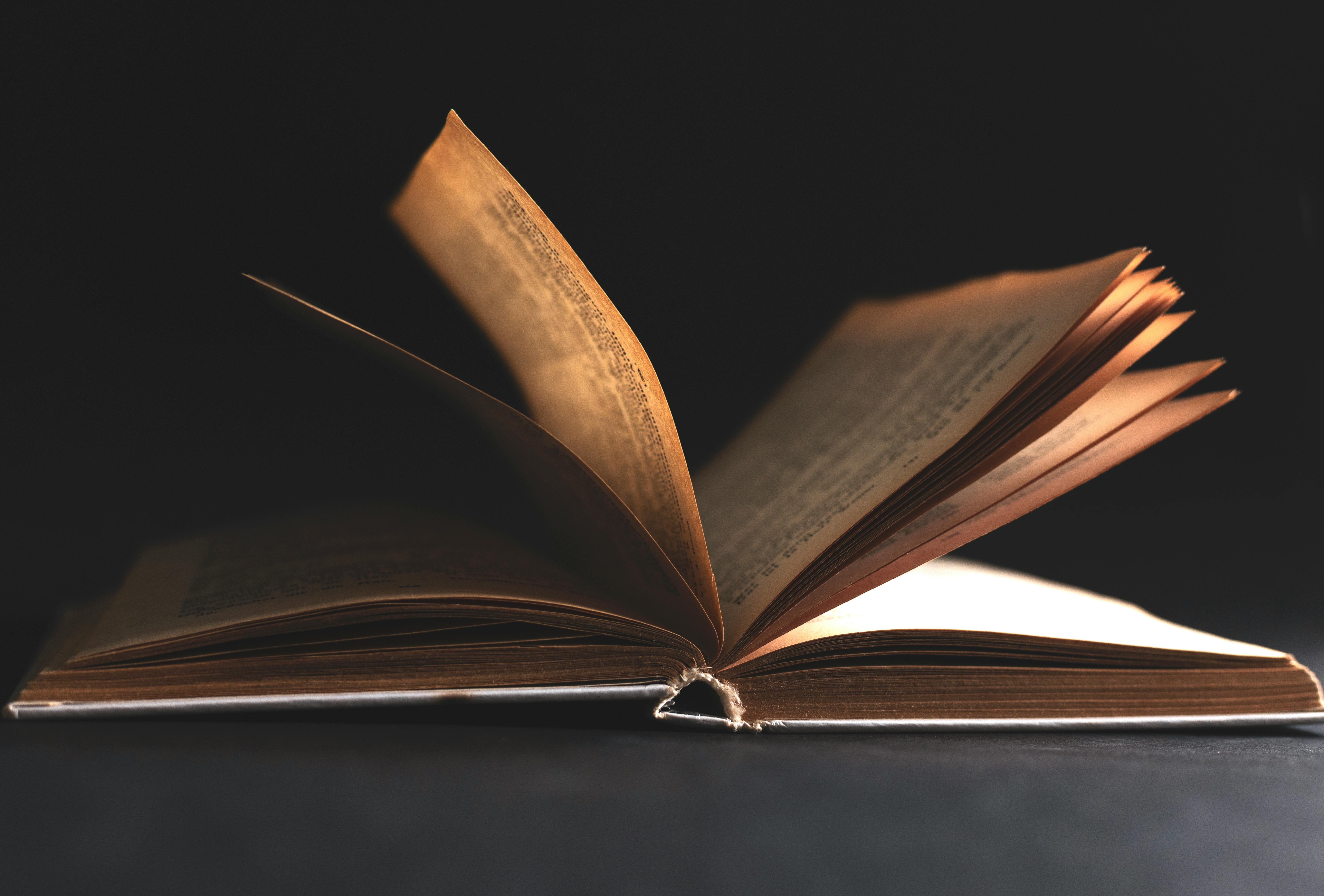 pexels-roman-stavila-732078-27117282